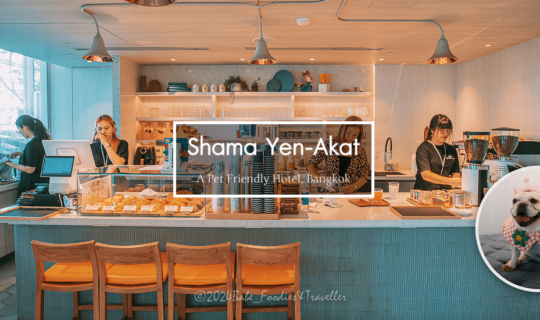 cover พักผ่อนกลางกรุง ที่เซอร์วิสอพาร์ทเม้นท์ ย่านสีลม-สาทร เดินทางสะดวก ห้องพักเป็น Pet-Friendly ด้วยน๊า