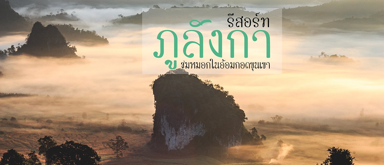 cover ภูลังการีสอร์ท ชมหมอกในอ้อมกอดขุนเขา ที่พัก 700 บาท วิวหลักล้าน -พาวัวไปล่าม-