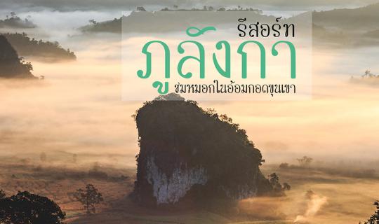 cover ภูลังการีสอร์ท ชมหมอกในอ้อมกอดขุนเขา ที่พัก 700 บาท  วิวหลักล้าน -พาวัวไปล่าม-