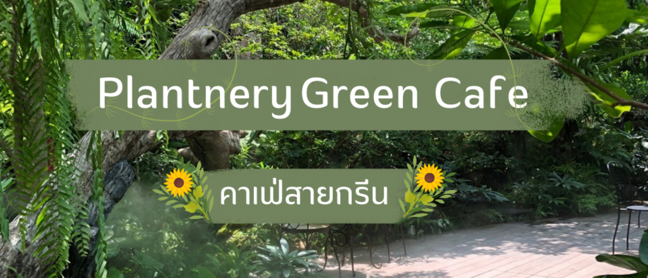 cover คาเฟ่กรีนๆ ใกล้กรุงเทพ ย่านแจ้งวัฒนะ เมืองทอง Plantnery Green Cafe