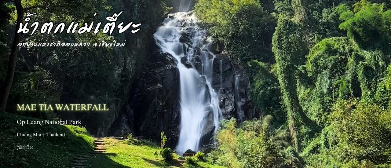 cover น้ำตกแม่เตี๊ยะ ความงามจากธรรมชาติ กลางขุนเขาและป่าใหญ่
