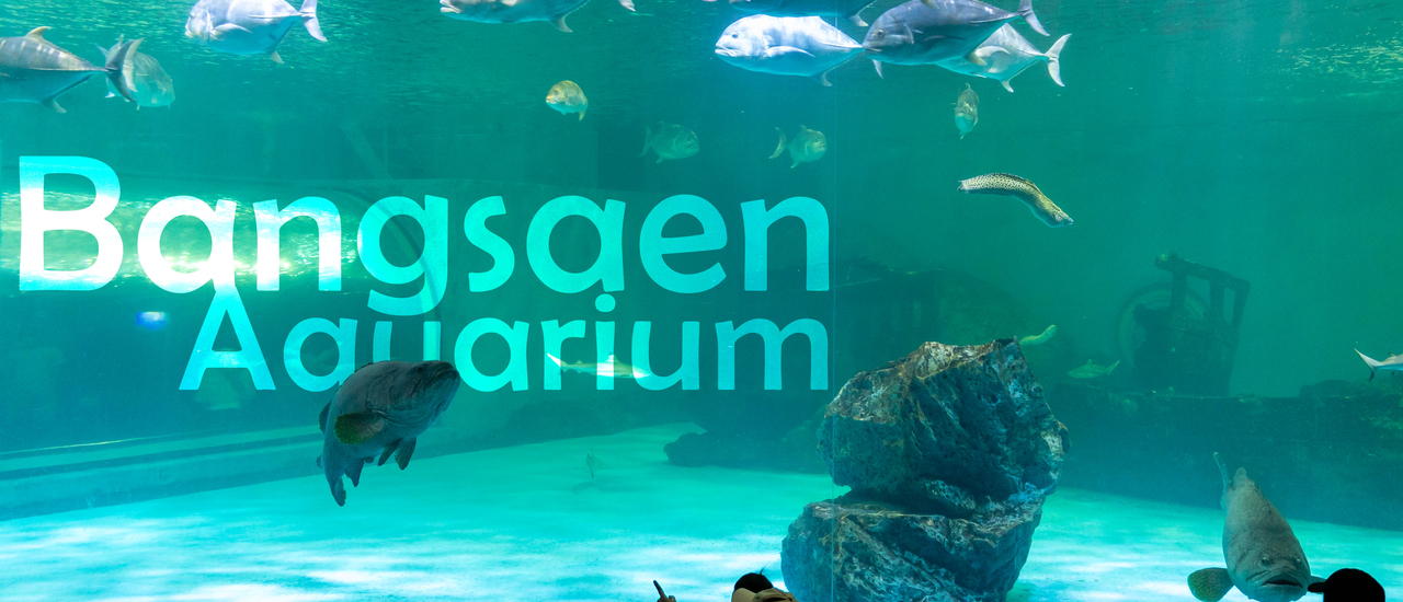 cover 🐟 สถาบันวิทยาศาสตร์ทางทะเล มหาวิทยาลัยบูรพา