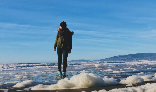 Cover San Francisco USA West Coast On the Budget เที่ยวซานฟรานซิสโก แบบไม่...