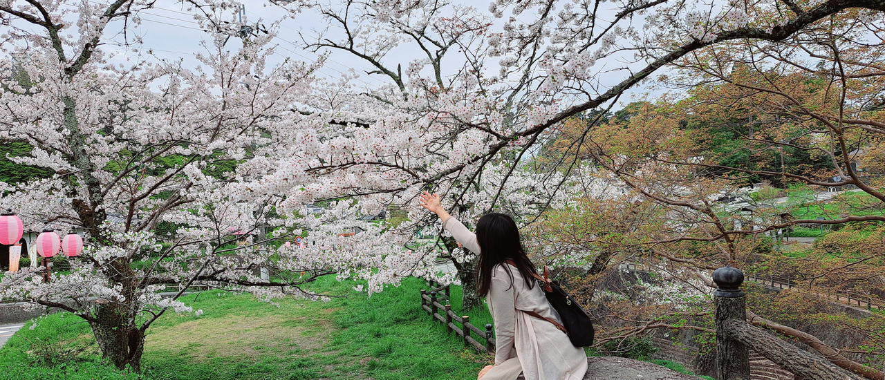 cover Haru Wakayama : Negoroji - Iwade โลกพิงค์ ๆ ที่เนโกโระ - อิวาเดะ