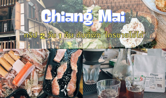 cover 'ใครขายไข่ไก่' นี่ไม่ใช่คำถาม แต่คือ ชื่อที่พักที่เราจะไปพักกันที่ อ.สันป่าตอง จ.เชียงใหม่