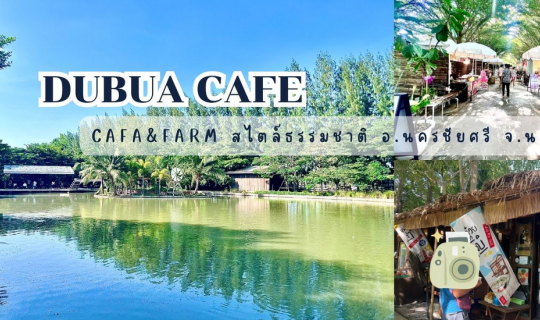 Cover DUBUA CAFE ดูบัวคาเฟ่ เป็น CAFE & FARM สไตล์ธรรมชาติ อ.นครชัยศรี จ.น...