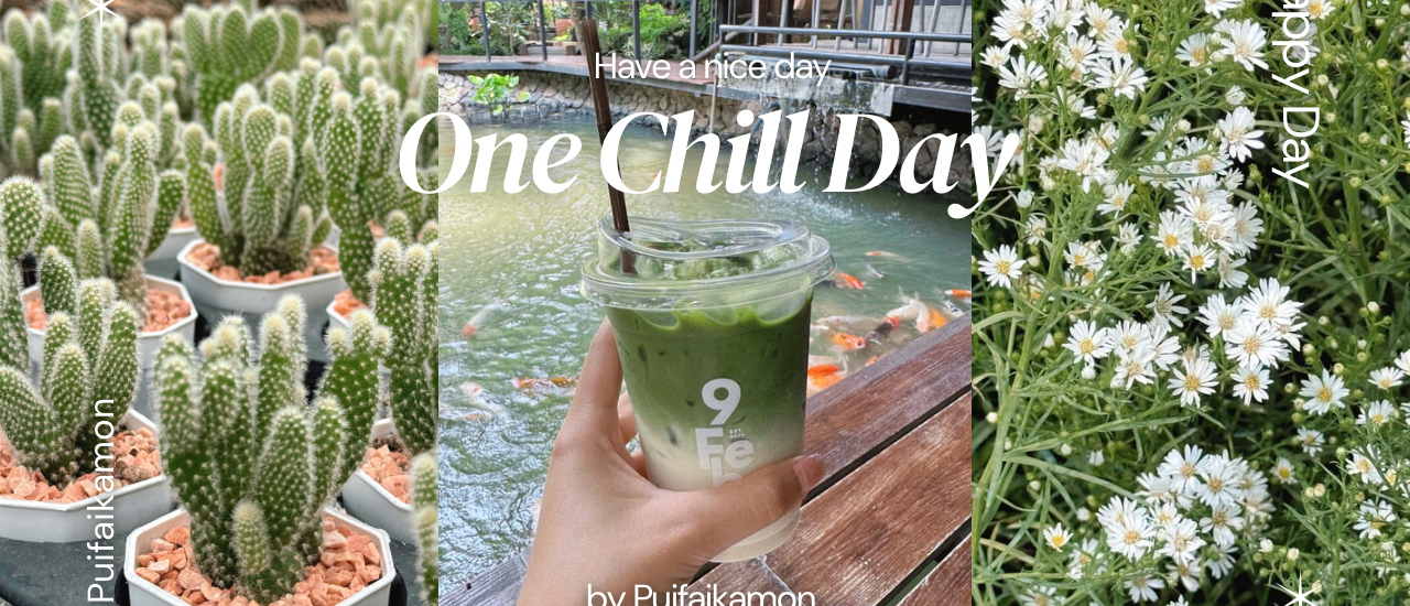 cover One Chill Day 🌵🌷ไปคาเฟ่ ซื้อต้นไม้ แวะทำบุญ นนทบุรี