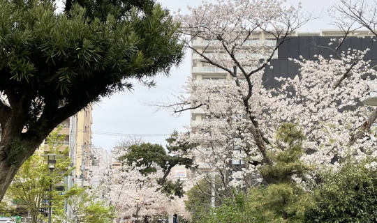 cover Sofu Coffee ร้านเจ๋งๆใน Fukuoka
