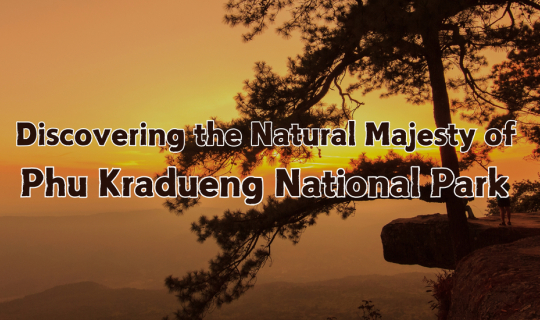 cover Discovering the Natural Majesty of Phu Kradueng National Park