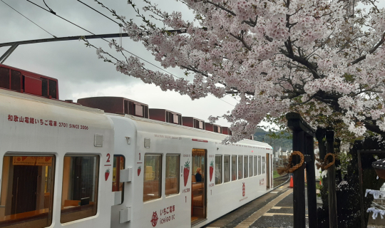 Cover Wakayama รถไฟสตอร์เบอร์รี่ รถไฟทามะ...