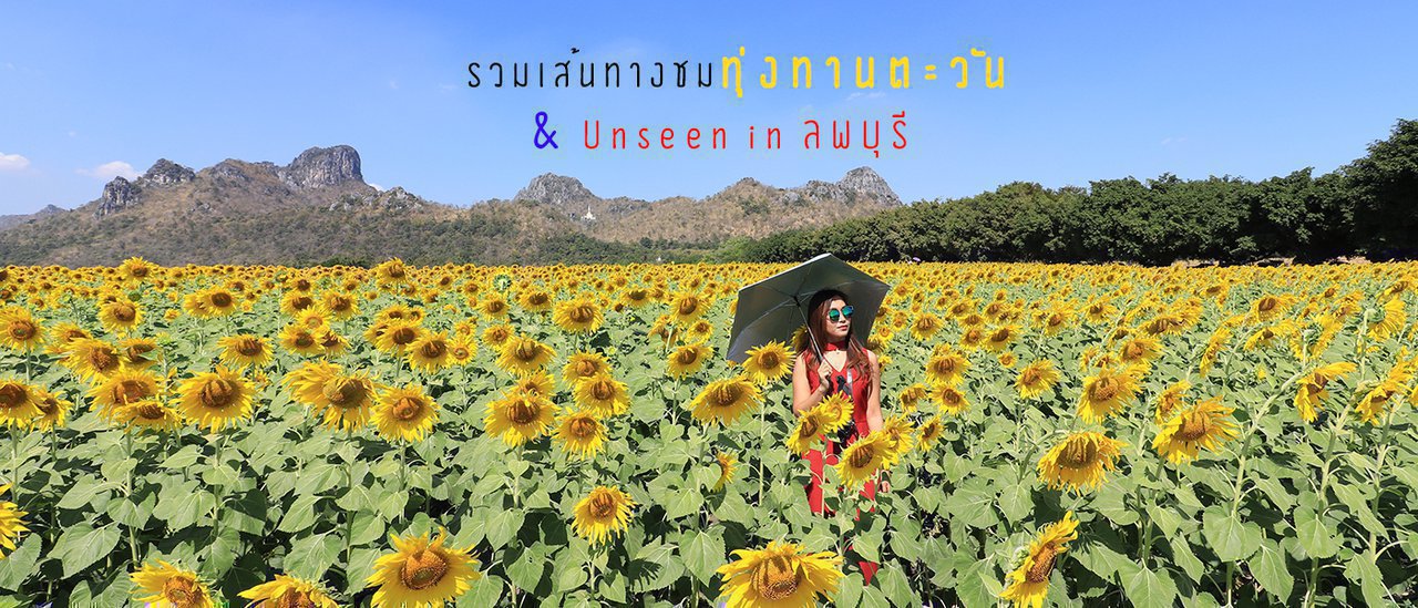 cover Trip to the Sunflower Field at Khao Chin Lae and Relax at the Most Beautiful Natural Resort in Lopburi