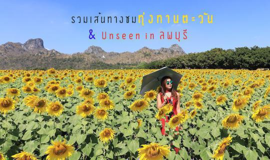 cover Trip to the Sunflower Field at Khao Chin Lae and Relax at the Most Beautiful Natural Resort in Lopburi