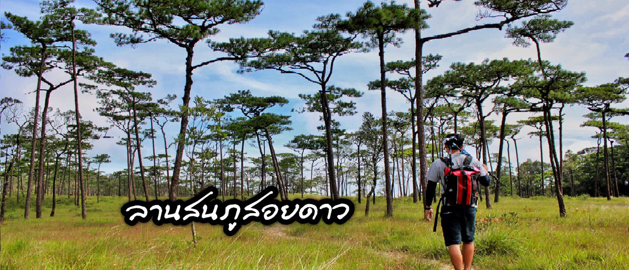 cover "ครึ่งทาง" ณ ภูสอยดาว แล้วพวกเราจะกลับมาอีก!!