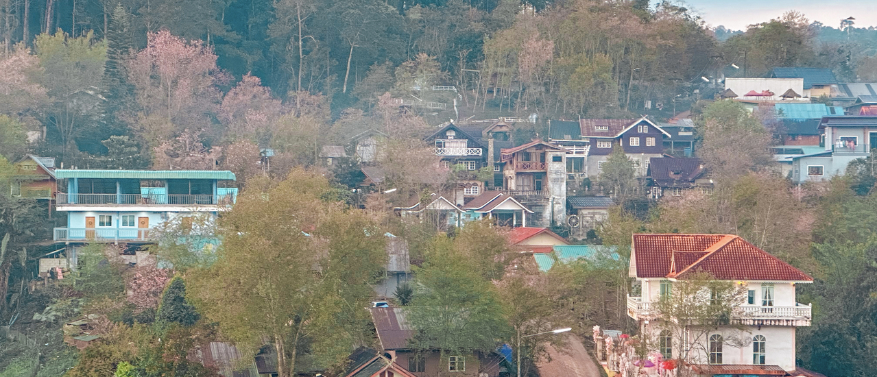 cover ไฮไลท์อุทยานแห่งชาติภูหินร่องกล้า