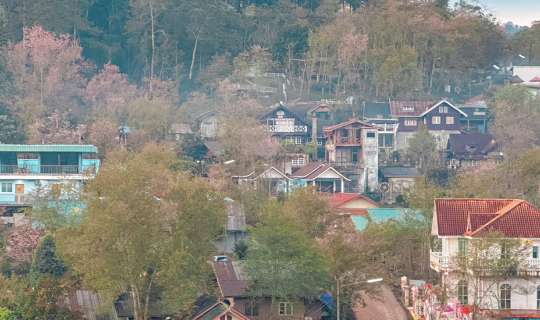 Cover ไฮไลท์อุทยานแห่งชาติภูหินร่องกล้า...