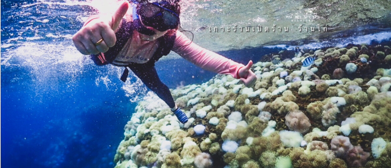 cover เกาะร้านเป็ดร้านไก่ สัมผัสมหัศจรรย์ใต้ทะเล