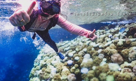 Cover เกาะร้านเป็ดร้านไก่ สัมผัสมหัศจรรย์ใต้ทะเล...