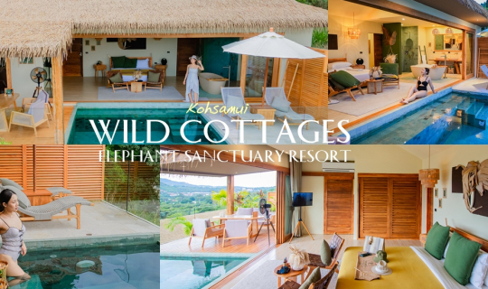 cover ที่พักเกาะสมุยเปิดใหม่ moodดี vibesดีมาก