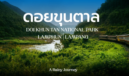 Cover ขุนตาลและม่านหมอก แพลนไม่ยาก เที่ยวตามง่ายๆ ใครๆก็ไปได้...