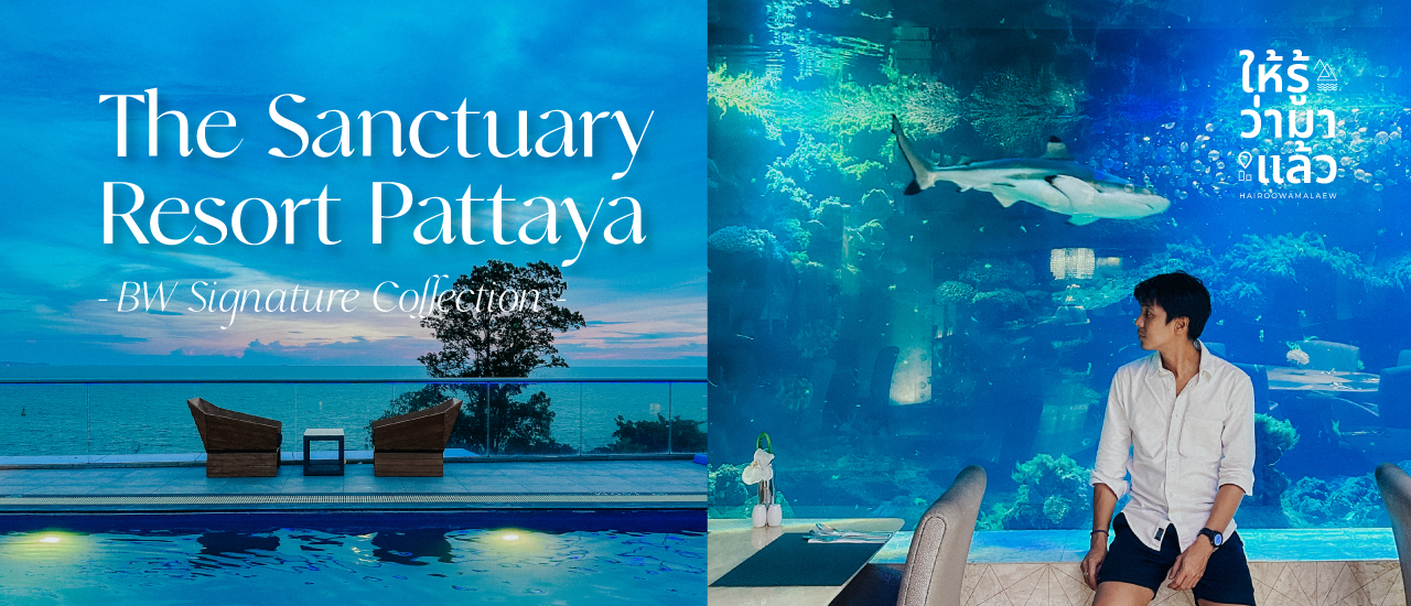 cover รีวิวโรงแรม The Sanctuary Resort Pattaya, BW Signature Collection ที่พักใกล้หาดพัทยา พร้อมวิวทะเลสวย
