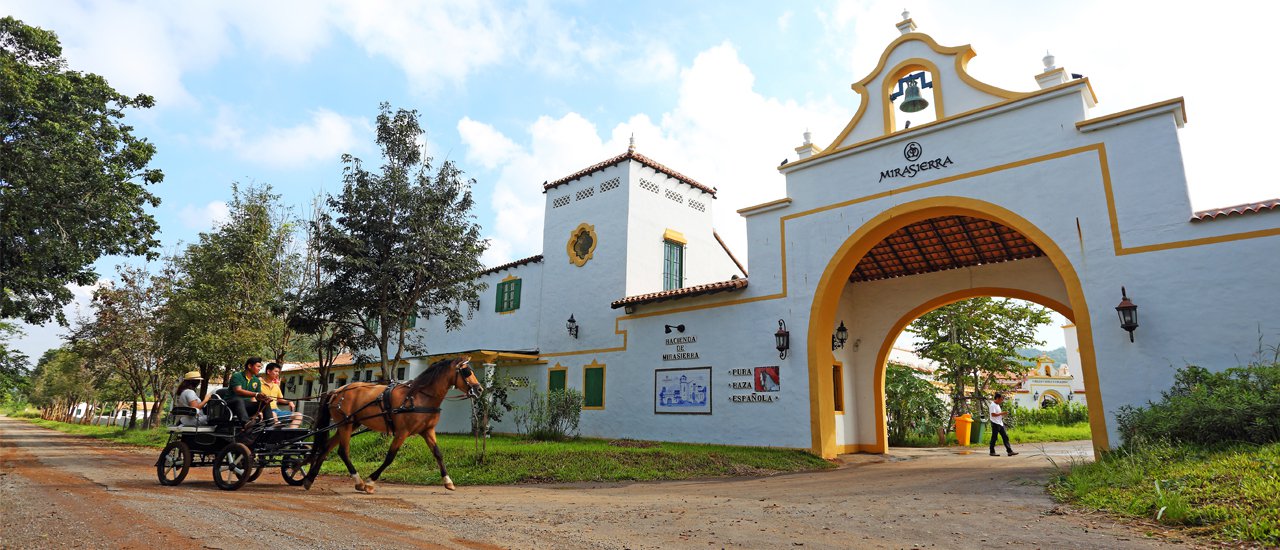 cover Mirasierra Khaoyai: A Spanish-inspired haven for horse lovers

Mirasierra Khaoyai, a haven for horse lovers, draws inspiration from the vibrant culture of Spain.