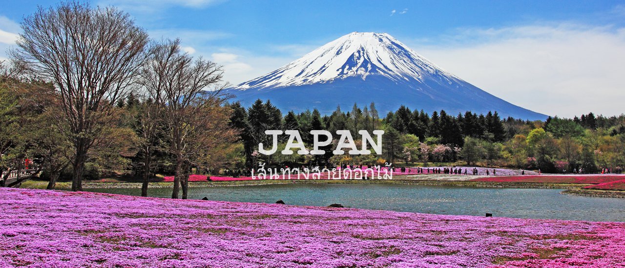 cover Japan: A Land of Endless Floral Charm

No matter how many times you visit Japan, its captivating floral trails never cease to amaze.