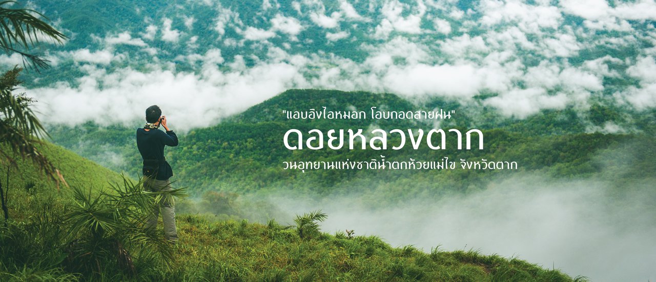 cover "แอบอิงไอหมอก โอบกอดสายฝน" ยอดดอยหลวงตาก