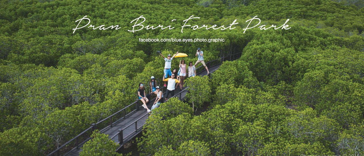 cover "Pran Buri Forest Park"