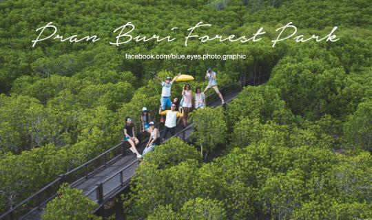 cover "Pran Buri Forest Park"