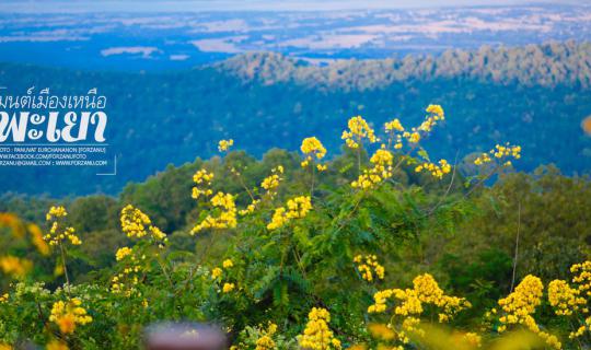cover ...Take a plane and then a car...Experience the charm of "Phayao" 3 days of comfortable travel at the end of the rainy season and the beginning of winter...
