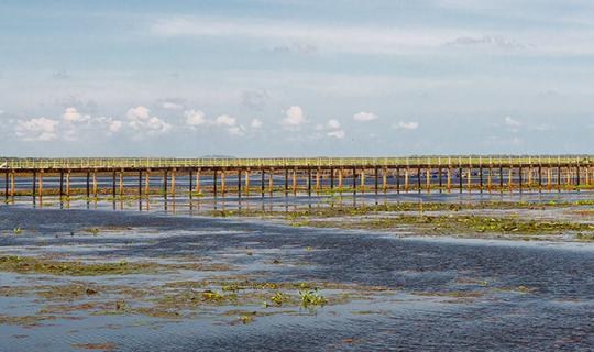 cover Let's go South Episode: Travel to Hat Yai, then to Phatthalung, and head to Pakpra to see the lotus field...