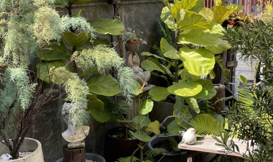 Cover 2 ร้านกาแฟ specialty coffee ในจังหวัดตราด...