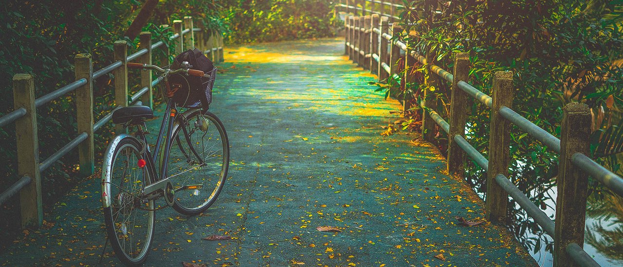 cover Just 8 baht from the heart of Bangkok, you can cycle through the middle of the forest and the coast. This is Bang Krachao.