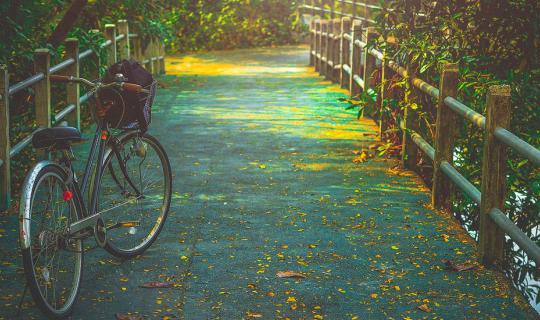 cover Just 8 baht from the heart of Bangkok, you can cycle through the middle of the forest and the coast. This is Bang Krachao.