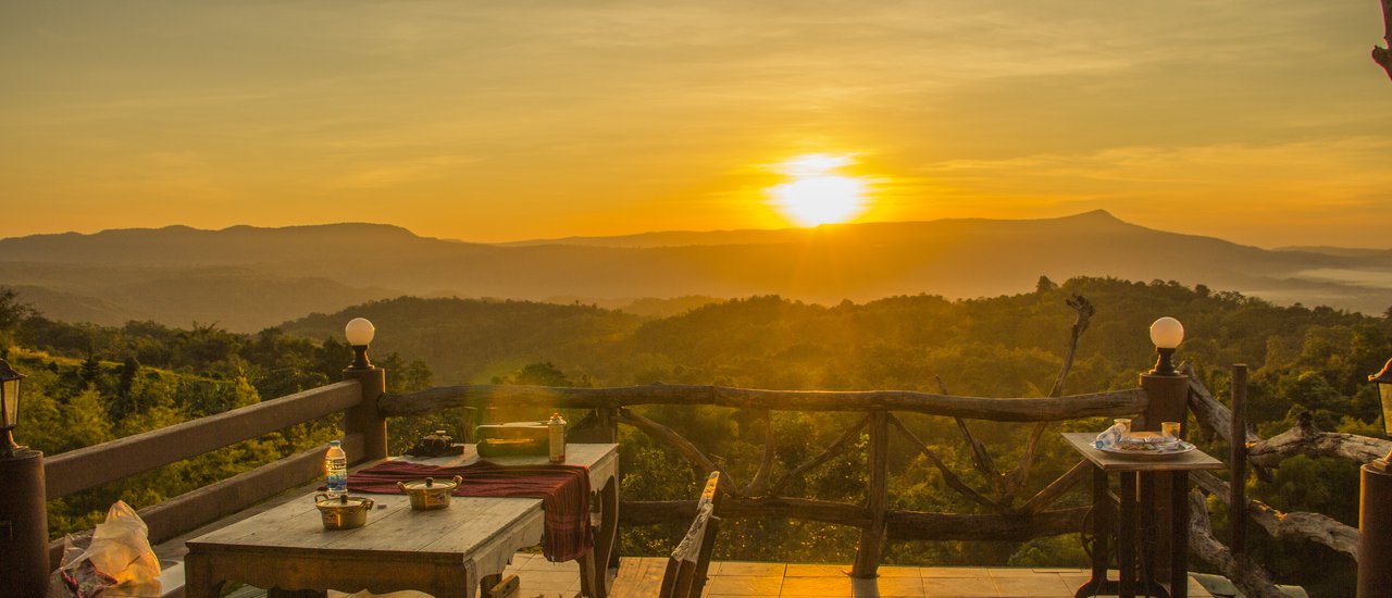 cover Bear Cubs Take You on an Adventure | "Sleep Wherever Night Falls" in Ayutthaya, Wang Nam Khiao, Flora Park Khao Yai, and Mani Sri Sunflower Field (Lots of Beautiful Photos)