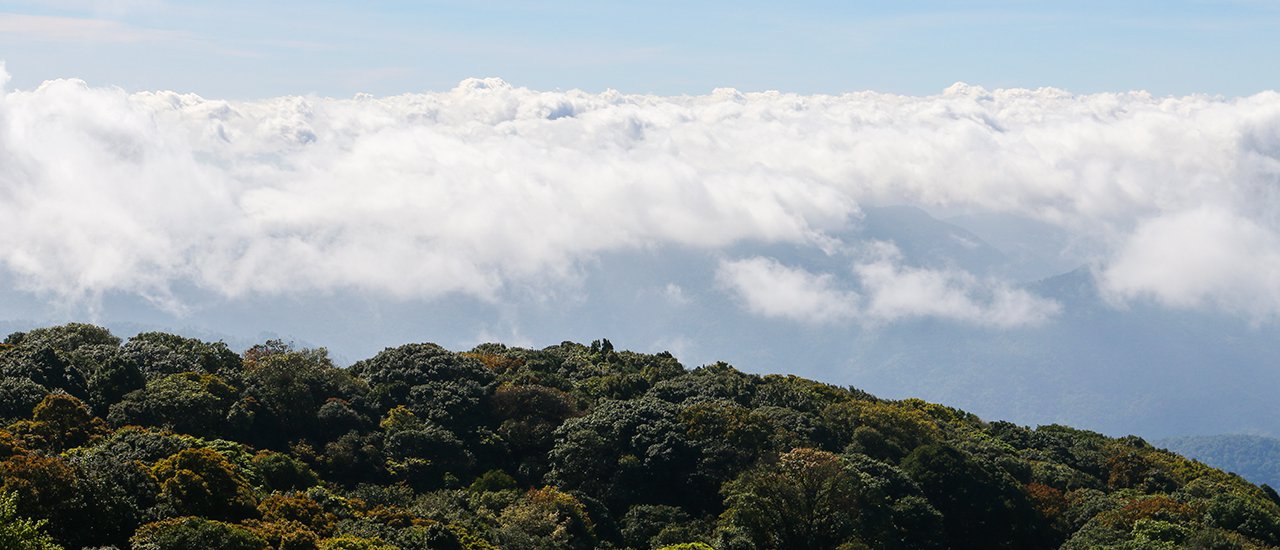 cover Check-in @ Doi Inthanon: Mist, River, Mountain and Motorcycle Rental