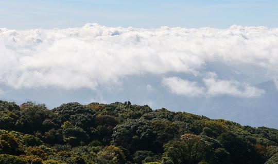 cover Check-in @ Doi Inthanon: Mist, River, Mountain and Motorcycle Rental