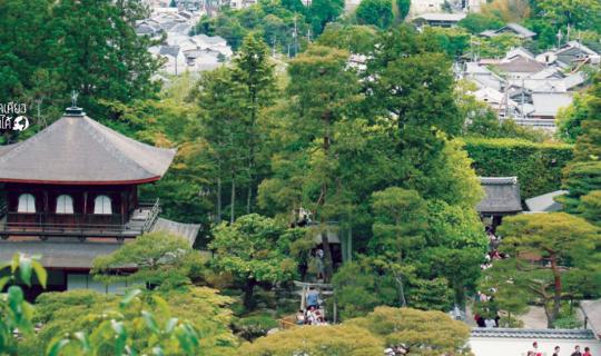 Cover A little money, you can travel too | Japan 8 days 7 nights 4 cities ...