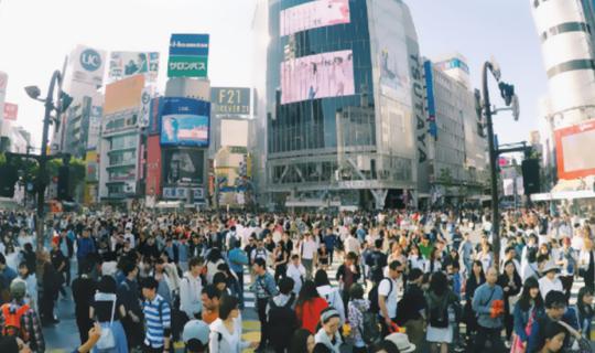 Cover A Little Money, Big Adventure: 8 Days, 7 Nights, 4 Cities in Japan f...