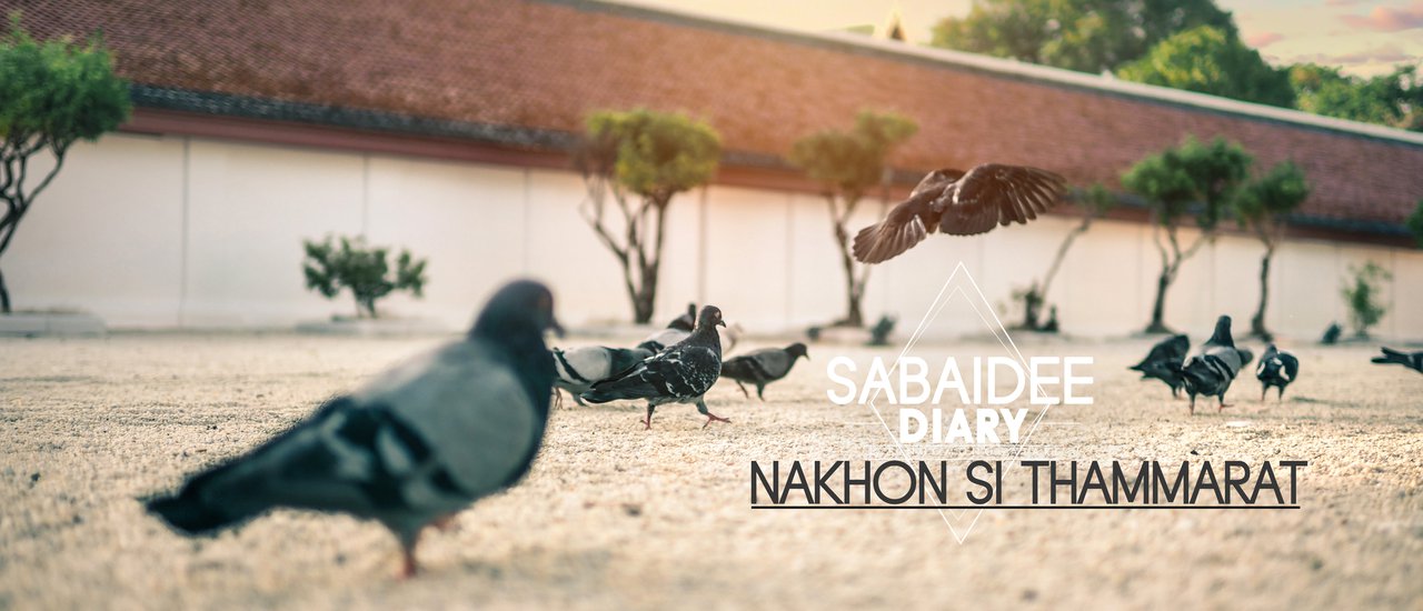 cover • Hello. . Nakhon Si Thammarat • Golden Chedi. . Delicious Khanom Jeen. . Eating Roti with Black Tea. . On a 2,000-year-old civilization site.