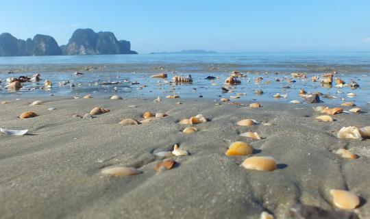 cover Hua Hin Trang beach is also worth a visit.