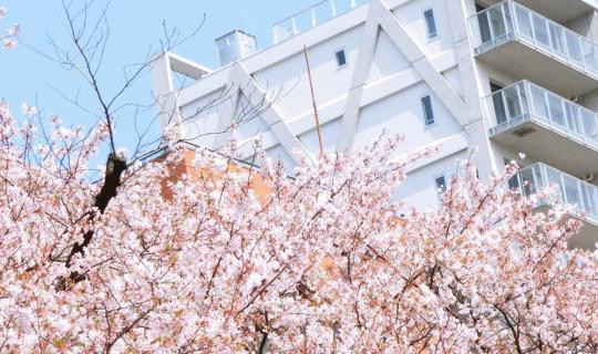 cover Mini Review: New Tohoku Ueno Hotel, Tokyo // U-city Narita & Shisui Outlet: New Shopping Paradise near Narita Airport