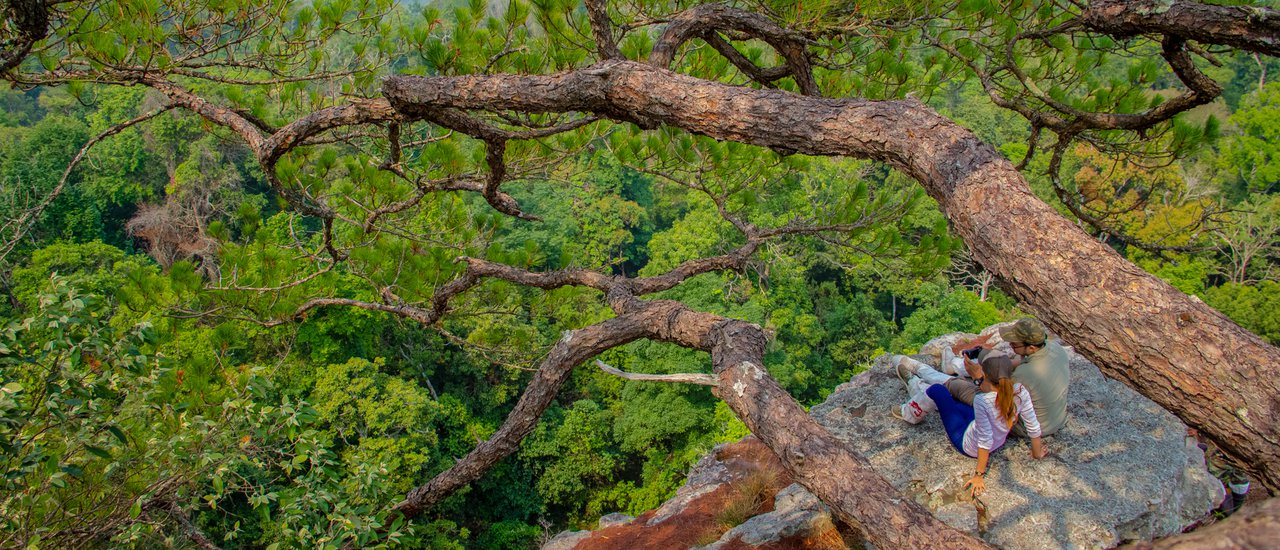 cover "Pha Sorn Lok," a hidden beauty at Phu Kradueng National Park.