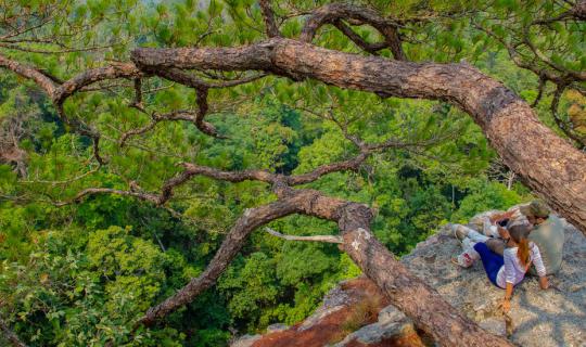 Cover "Pha Sorn Lok," a hidden beauty at Phu Kradueng National Park....