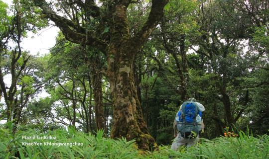 Cover He's freezing (cold) .. Khlong Wang Chao National Park...