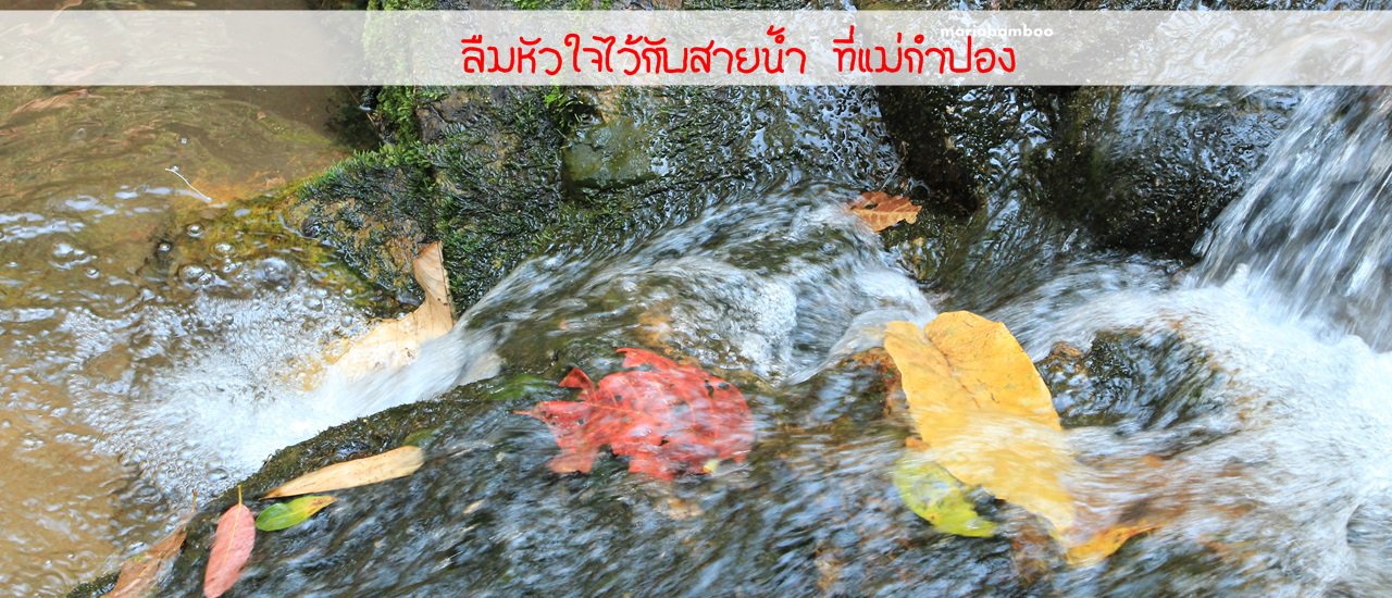 cover A heart left with the stream at Mae Kampong.