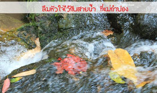 cover A heart left with the stream at Mae Kampong.