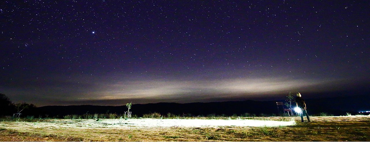 cover Camping overnight in Wang Nam Khiao, stargazing in the evening and morning, flower viewing in the afternoon, and watching bison in the late afternoon.