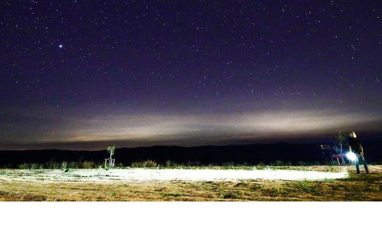 cover Camping overnight in Wang Nam Khiao, stargazing in the evening and morning, flower viewing in the afternoon, and watching bison in the late afternoon.