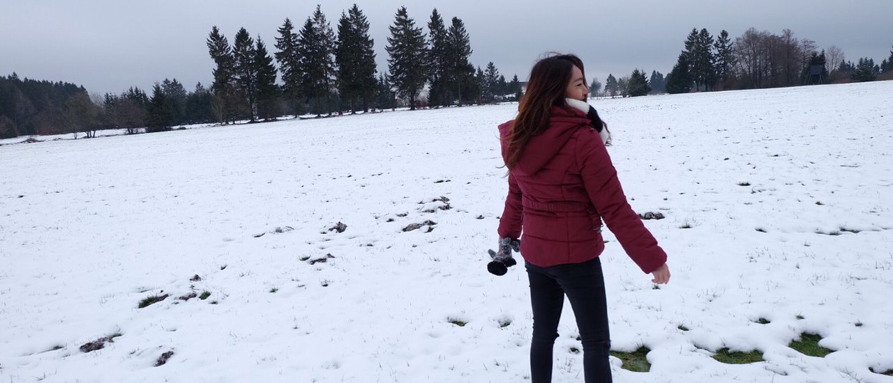 cover 4 Days in Belgium